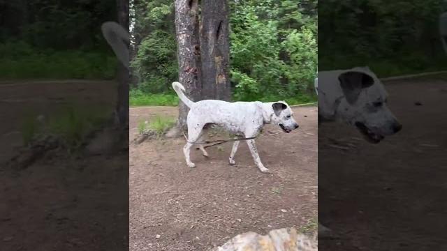 Camping with kathy! just finished to lookout training for the day, and i’ll be sharing more in a Camping with kathy! just finished to lookout training for the day, and i’ll be sharing more in a