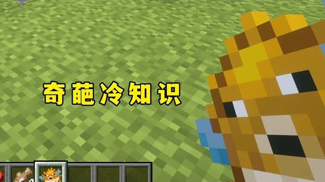 我的世界:河豚還能繁殖狗,這也太冷了!#minecraft #麥塊 #mc 我的世界:河豚還能繁殖狗,這也太冷了!#minecraft #麥塊 #mc