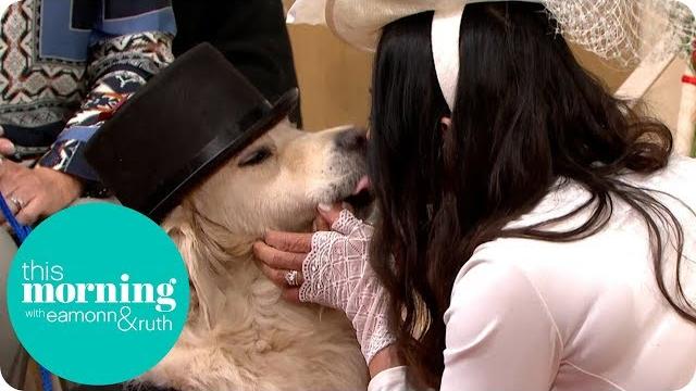 Woman marries her dog live on this morning | this morning Woman marries her dog live on this morning | this morning