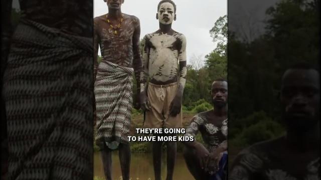 Deadly cassava vs cultural evolution – joseph henrich Deadly cassava vs cultural evolution – joseph henrich