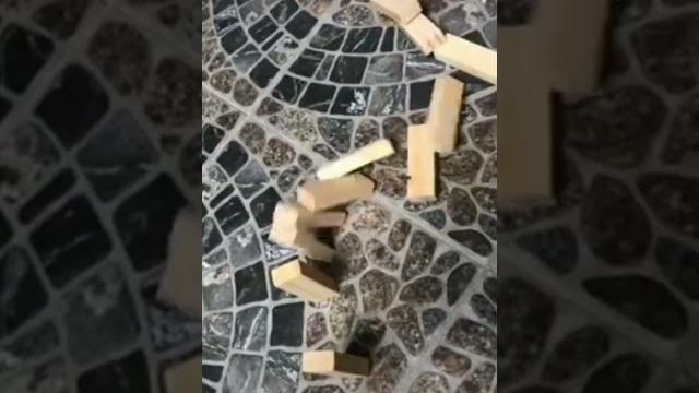 Злой пёс микки тик ток #4 Злой пёс микки тик ток #4