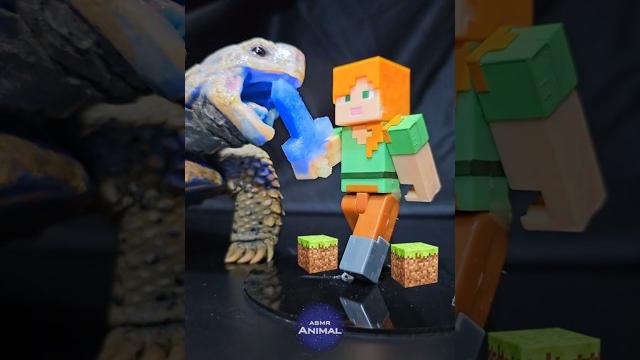 Minecraft asmr mukbang eating alex turtle tortoise Minecraft asmr mukbang eating alex turtle tortoise