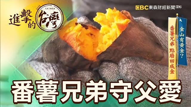 金山廢田炕窯香 番薯兄弟守父愛 第402集《進擊的台灣》part3|徐世珍 金山廢田炕窯香 番薯兄弟守父愛 第402集《進擊的台灣》part3|徐世珍