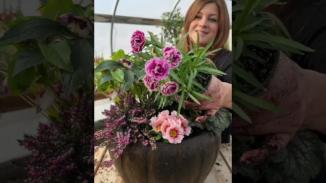 First spring container! yay! First spring container! yay!