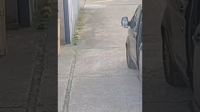 Backward tumbles caught on camera #shorts Backward tumbles caught on camera #shorts