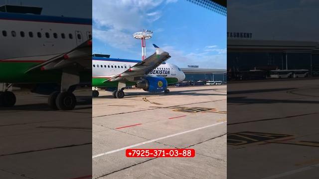 Real avia tel:+79253710388 #tashkent #aviabilet #moskva #musofir #uzbek #bekmobil #uzbekistann1 Real avia tel:+79253710388 #tashkent #aviabilet #moskva #musofir #uzbek #bekmobil #uzbekistann1