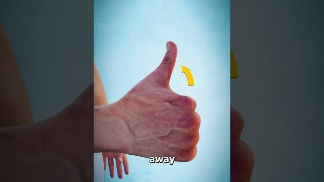 What does this long thumb muscle do? What does this long thumb muscle do?