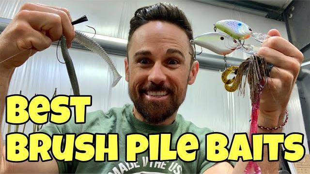 Best brush pile baits for bass Best brush pile baits for bass
