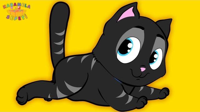 Kara kedi - onur erol-karamela sepeti - çocuk şarkıları Kara kedi - onur erol-karamela sepeti - çocuk şarkıları