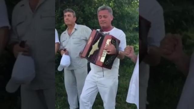 Гармонист жгет) Гармонист жгет)