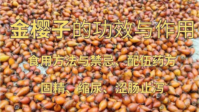 金樱子的功效与作用、金樱子食用禁忌、食用方法#草药 #中药 #金樱子#固精#缩尿#止泻 金樱子的功效与作用、金樱子食用禁忌、食用方法#草药 #中药 #金樱子#固精#缩尿#止泻