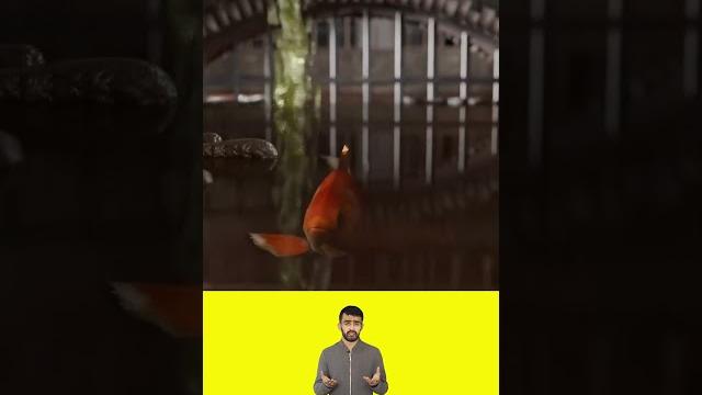 У меня топ видео. подписывайся. станешь умнее У меня топ видео. подписывайся. станешь умнее