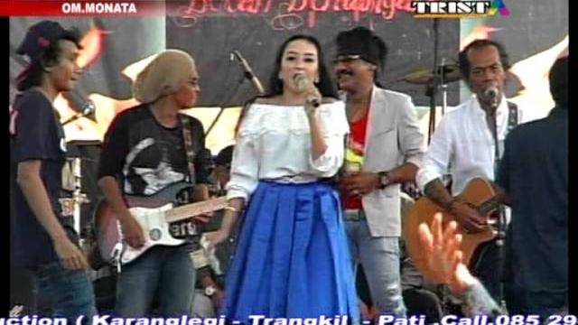 Monata bodem kimcil kepolen Monata bodem kimcil kepolen