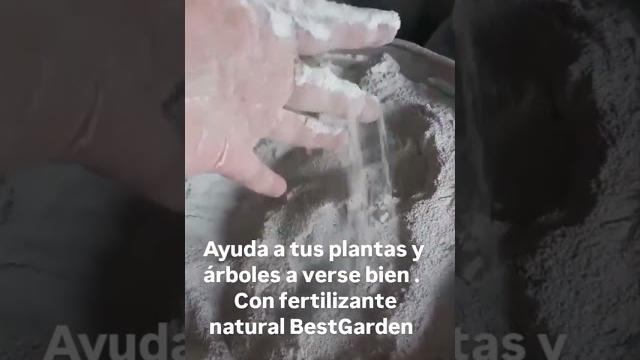 Harina de hueso fertilizante natural #agricultura #natural #reciclaje #maiz #naturaleza #plantas Harina de hueso fertilizante natural #agricultura #natural #reciclaje #maiz #naturaleza #plantas