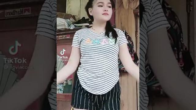 Noviaccillia Noviaccillia