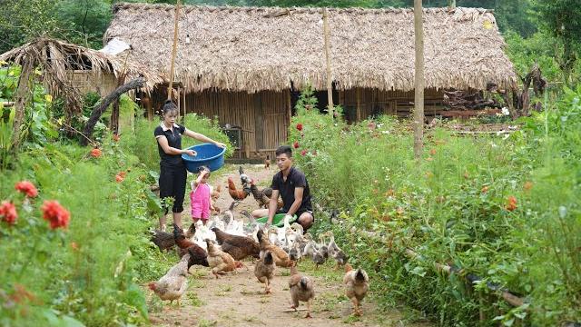 Mountain family farm life, growing & harvesting vegetables, animal care, rustic cooking Mountain family farm life, growing & harvesting vegetables, animal care, rustic cooking