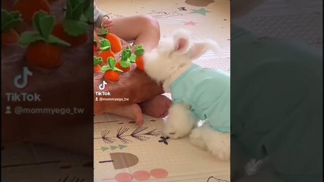 兔兔是寶寶的好老師#mommyego #寶寶 兔兔是寶寶的好老師#mommyego #寶寶