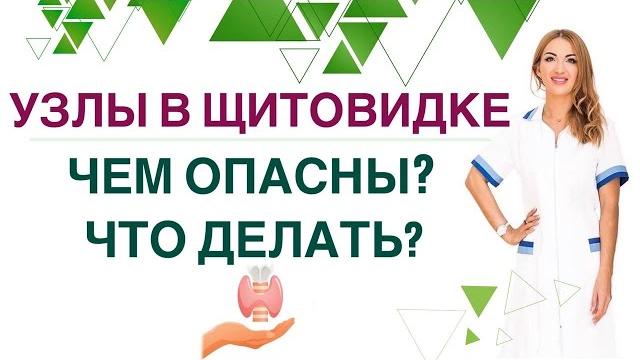 ️ щитовидная железа. узлы и кисты: чем опасны что делать врач эндокринолог ольга павлова ️ щитовидная железа. узлы и кисты: чем опасны что делать врач эндокринолог ольга павлова