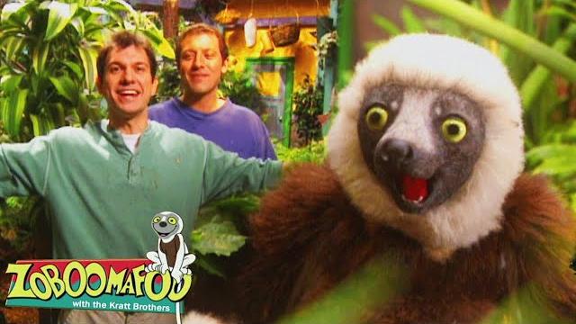 Green creatures | zoboomafoo - wildbrain | movies for kids Green creatures | zoboomafoo - wildbrain | movies for kids