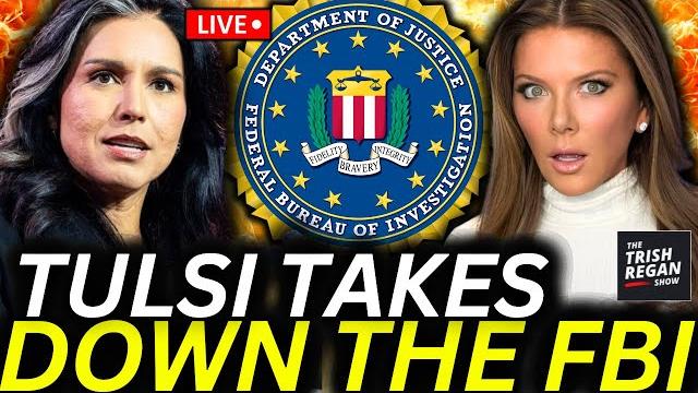 Tulsi gabbard just exposed biden’s illegal fbi spy-op in newly declassified docs! arrests coming Tulsi gabbard just exposed biden’s illegal fbi spy-op in newly declassified docs! arrests coming