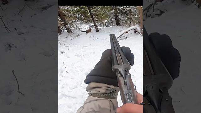 «в прицеле: мое путешествие по охоте на лис» #охота#huntingrussia#wildhunting#wildlife#foxhunting «в прицеле: мое путешествие по охоте на лис» #охота#huntingrussia#wildhunting#wildlife#foxhunting