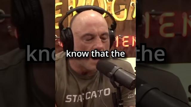 Joe rogan on the library of alexandria #joeroganpodcast #libraryofalexandria #rome #history Joe rogan on the library of alexandria #joeroganpodcast #libraryofalexandria #rome #history
