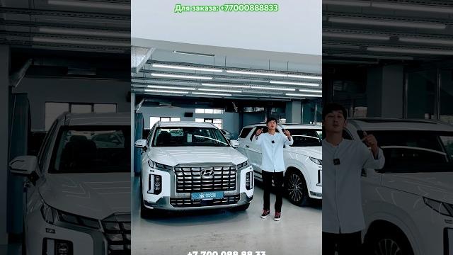 New hyundai palisade New hyundai palisade