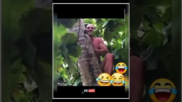 Mia khalifa and johnny sing funny video #viral_video #youtubeshorts #tak #song #shortvideo #sorts Mia khalifa and johnny sing funny video #viral_video #youtubeshorts #tak #song #shortvideo #sorts