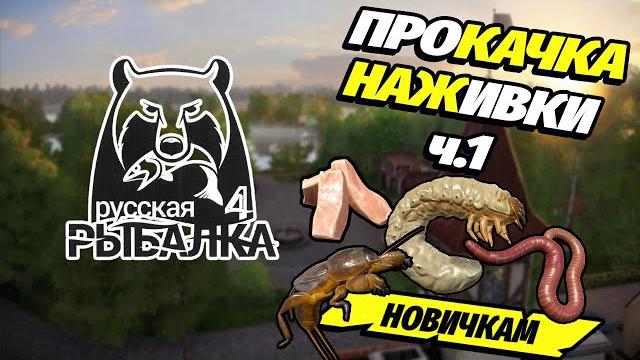 "как легко прокачать наживку:пошаговое руководство для новичков 70% за час!" русская рыбалка 4 | рр4 "как легко прокачать наживку:пошаговое руководство для новичков 70% за час!" русская рыбалка 4 | рр4