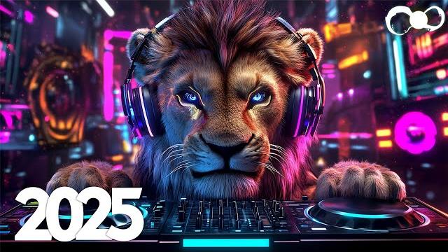 Bass boosted edm music mix 2025 popular song remixes top edm tracks of 2025 Bass boosted edm music mix 2025 popular song remixes top edm tracks of 2025