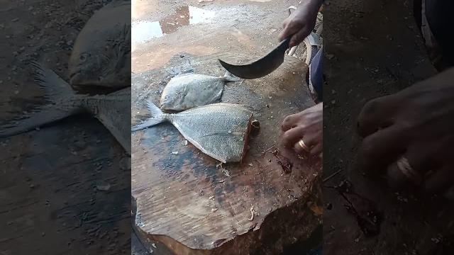 Mustafa sea food madurai Mustafa sea food madurai