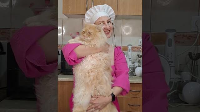 A big cat. simba cat. big cats. mila naturist A big cat. simba cat. big cats. mila naturist