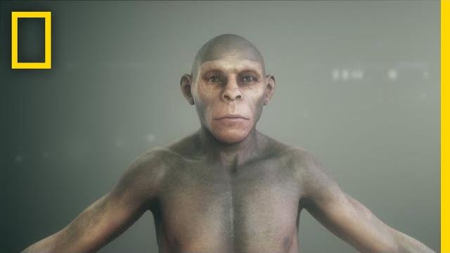 Human origins 101 | national geographic Human origins 101 | national geographic