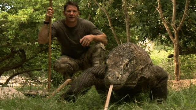 Largest lizard on earth | the komodo dragon | deadly 60 | indonesia | series 3 | bbc Largest lizard on earth | the komodo dragon | deadly 60 | indonesia | series 3 | bbc