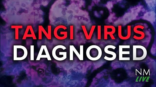 An analog horror drive-in movie | the tangi virus An analog horror drive-in movie | the tangi virus