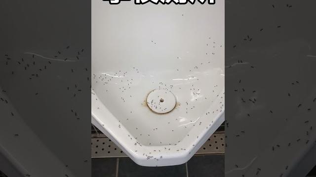 學校廁所........糖尿病⁉️ 學校廁所........糖尿病⁉️