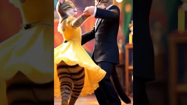 Cat tango #cat #meow #catlovers #animaldance Cat tango #cat #meow #catlovers #animaldance