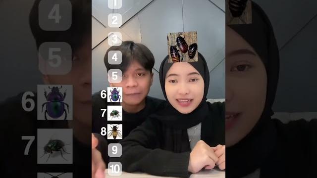 Reaksi kita kalo binatang ini nempel dibadan kita Reaksi kita kalo binatang ini nempel dibadan kita