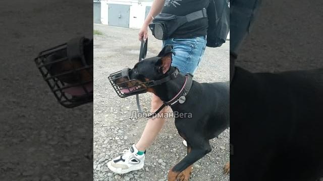 Какой вариант нравится больше? Какой вариант нравится больше?