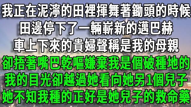 我正在泥濘的田裡揮舞著鋤頭的時候,田邊停下了一輛嶄新的邁巴赫,車上下來的貴婦聲稱是我的母親,卻捂著嘴巴乾嘔嫌棄我是個破種地的,我的目光卻越過她看向她另1個兒子,她不知我種的正好是她兒子的救命藥 我正在泥濘的田裡揮舞著鋤頭的時候,田邊停下了一輛嶄新的邁巴赫,車上下來的貴婦聲稱是我的母親,卻捂著嘴巴乾嘔嫌棄我是個破種地的,我的目光卻越過她看向她另1個兒子,她不知我種的正好是她兒子的救命藥