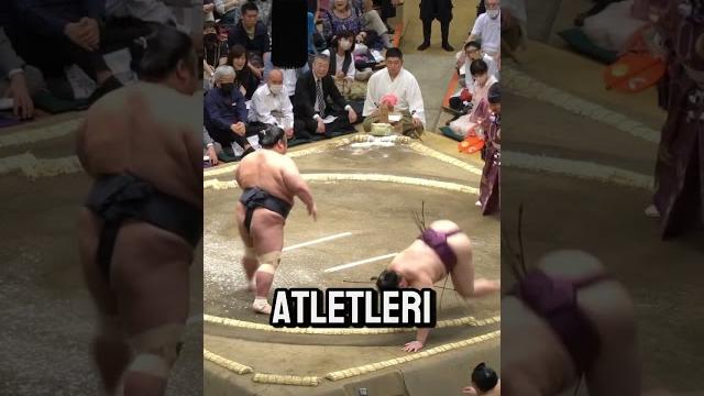 Sumocular gerçekten şişman mı? gerçek çok farklı! Sumocular gerçekten şişman mı? gerçek çok farklı!