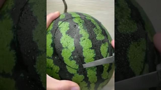 𝐰𝐚𝐭𝐞𝐫𝐦𝐞𝐥𝐨𝐧 ️𝐬𝐮𝐧𝐧𝐲 𝐰𝐚𝐭𝐞𝐫𝐦𝐞𝐥𝐨𝐧 ️𝐬𝐮𝐧𝐧𝐲