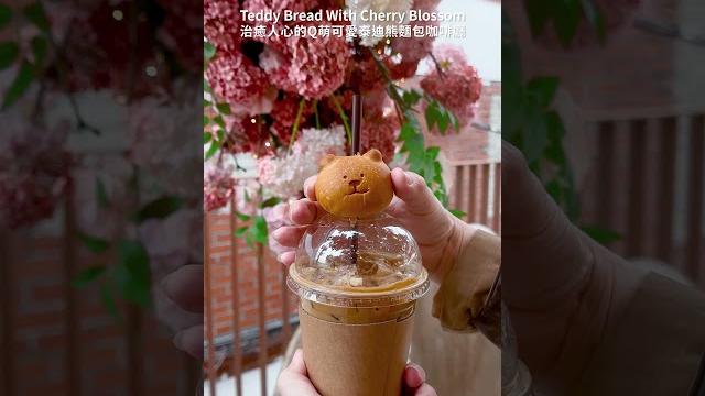 韓國首爾️聖水洞超可愛的小熊麵包 teddy bread with cherry blossom 韓國首爾️聖水洞超可愛的小熊麵包 teddy bread with cherry blossom
