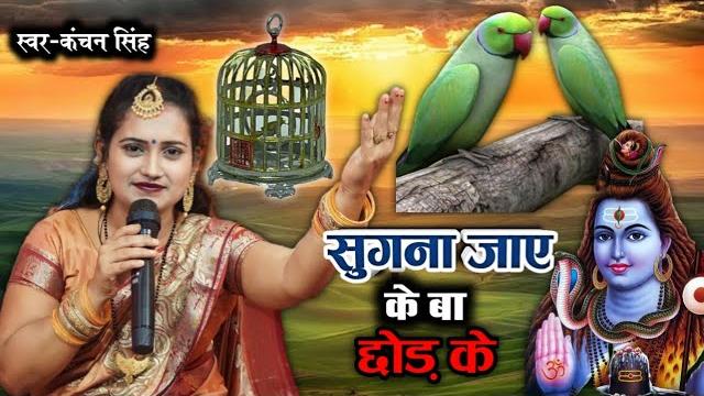 Kanchan singh | सुगना जाए के बा छोड़ के | shiv charcha geet | shiv charcha bhajan | shiv charcha Kanchan singh | सुगना जाए के बा छोड़ के | shiv charcha geet | shiv charcha bhajan | shiv charcha