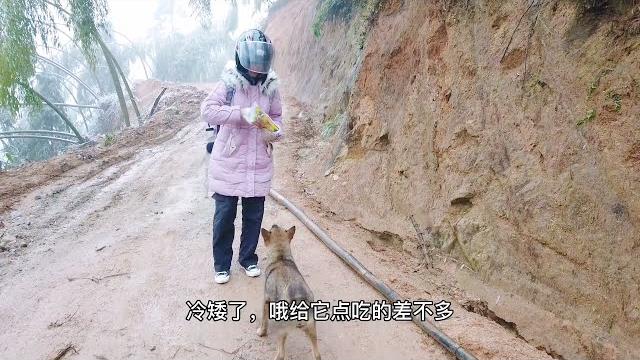 湖南客家女孩放学回家,土狗飞奔迎接,衣服差点被爬满狗脚印 湖南客家女孩放学回家,土狗飞奔迎接,衣服差点被爬满狗脚印