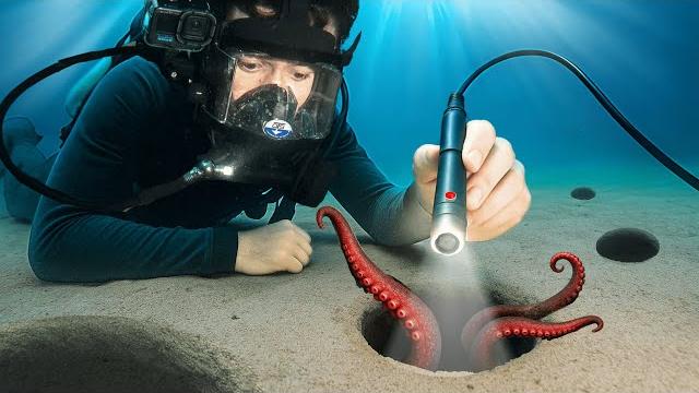 I sent a micro camera down 100 holes on the ocean floor I sent a micro camera down 100 holes on the ocean floor