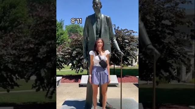 Stand next to the tallest man in the world #tall #shorts Stand next to the tallest man in the world #tall #shorts