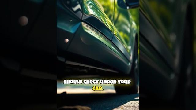 You must check under your car in denmark You must check under your car in denmark