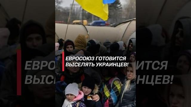 Ес готовится выселять украинцев! #украина #ес #мигранты #беженцы #политика #новости #сво #война Ес готовится выселять украинцев! #украина #ес #мигранты #беженцы #политика #новости #сво #война