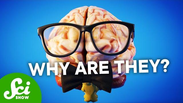Our brains shouldn’t be so big Our brains shouldn’t be so big